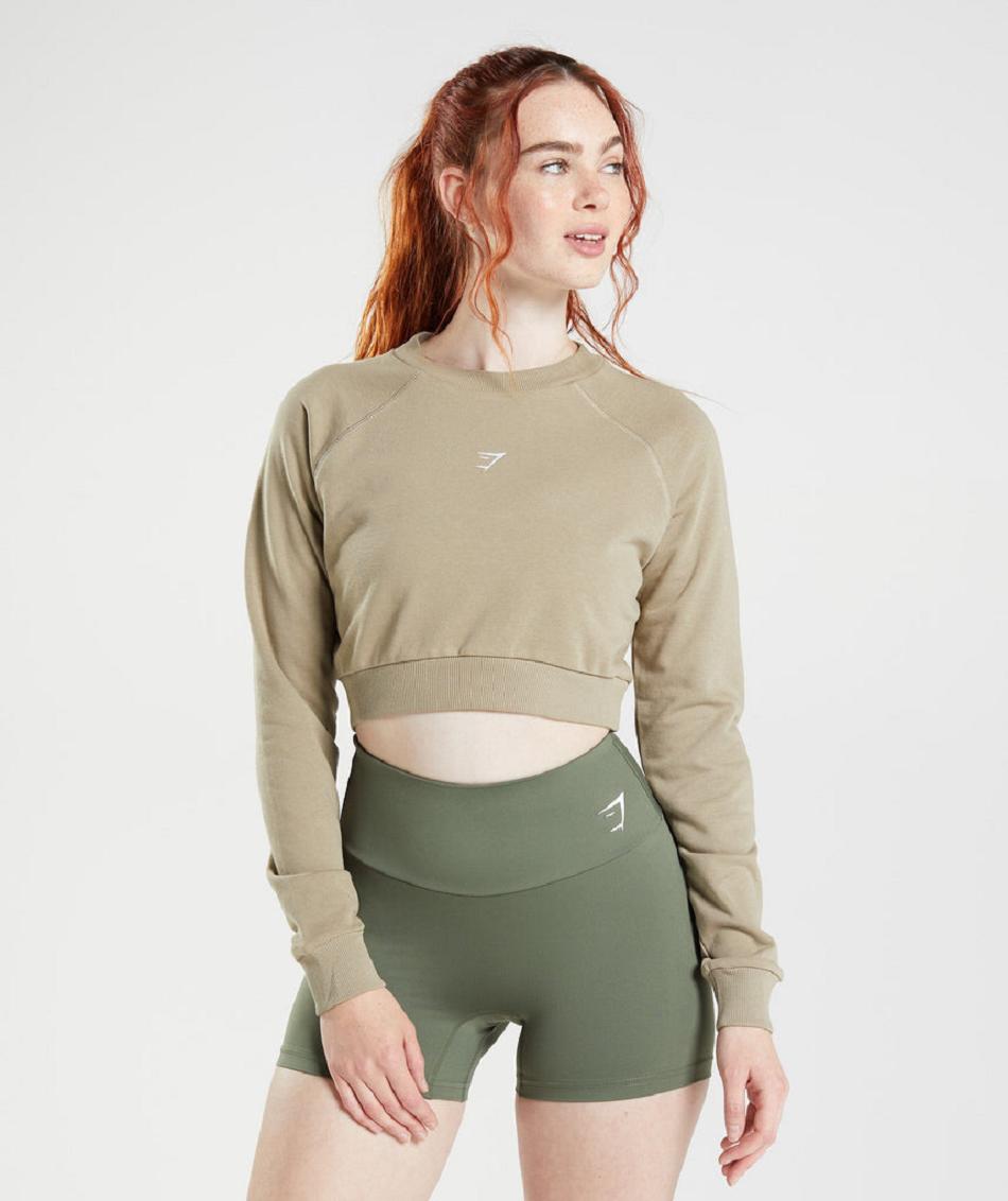 Gymshark Training Cropped Sweater Ženske Accessories Smeđe | HR 3777ZUT